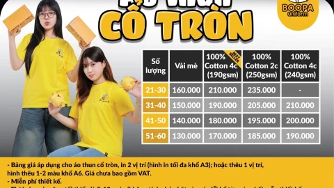 Bảng giá áo lớp cổ trỏn